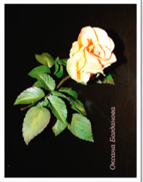 Бутонная роза ""Belvedere"/ фоамиран